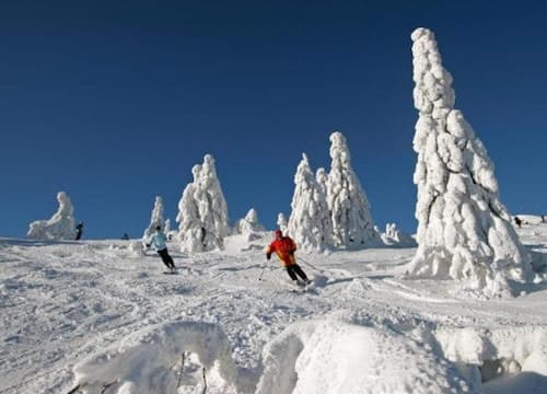 Ferienwohnung im Bayerischen Wald mit Sauna