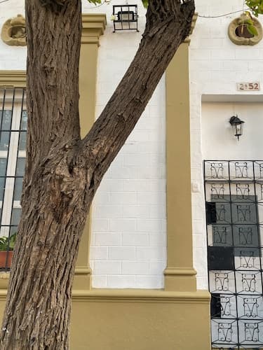 La casa de Madamme Cocotte