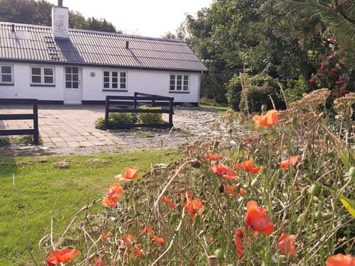 8 Person Holiday Home in Lokken-by Traum