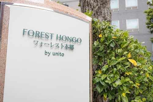 FOREST HONGO BY UNITO