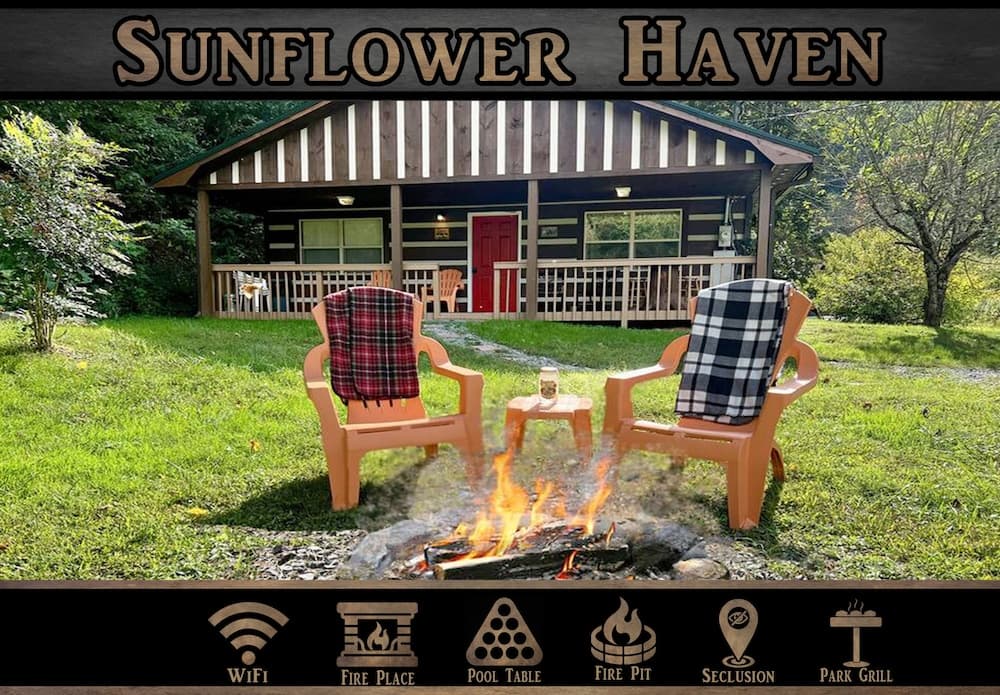 Sunflower Haven