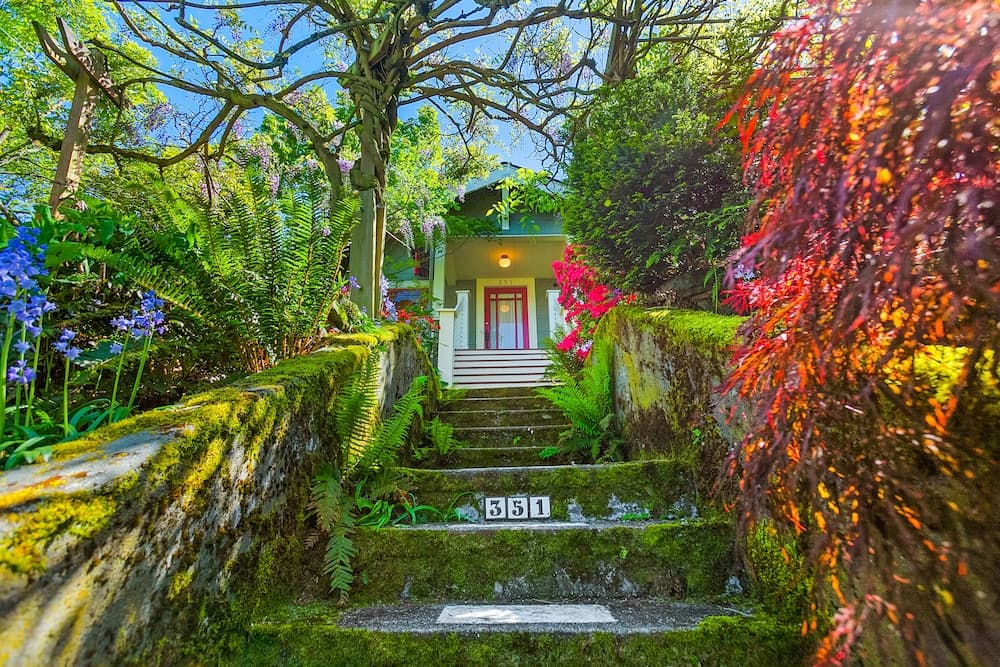 Enchanted Path to a Gardenscape