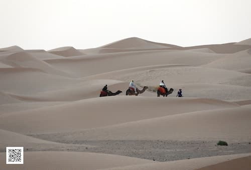 Luxury Saf Saf Camp