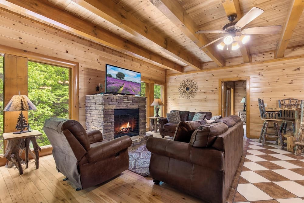 Mountain Cinema Lodge