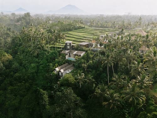 Magical Jungle Resort and Spa