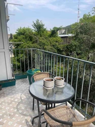 Nearby Chavchavadze ave Sunny Home With Balcony