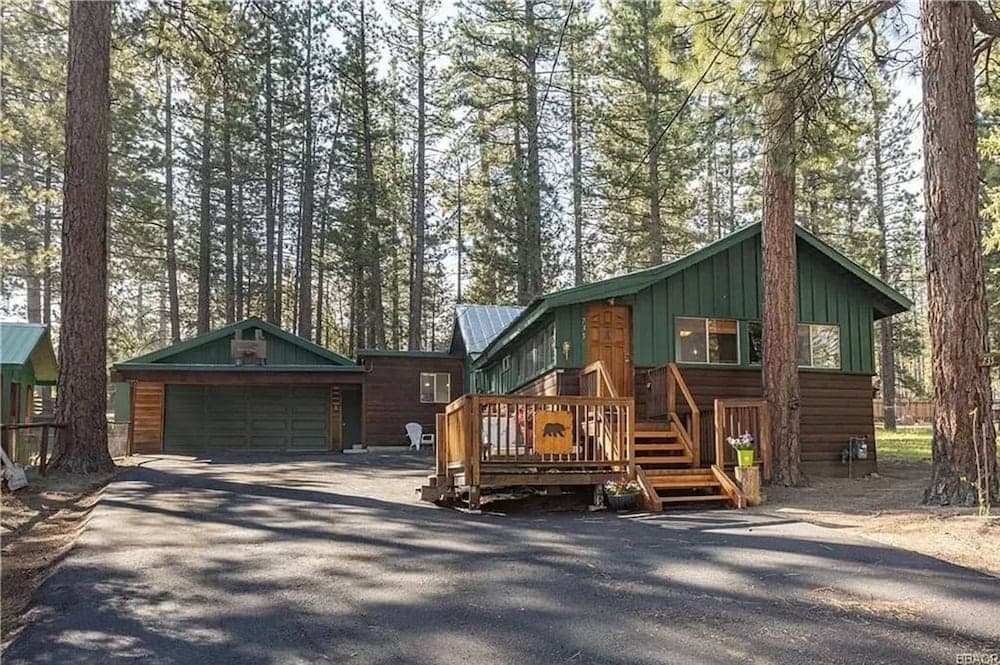 Evergreen Paradise
