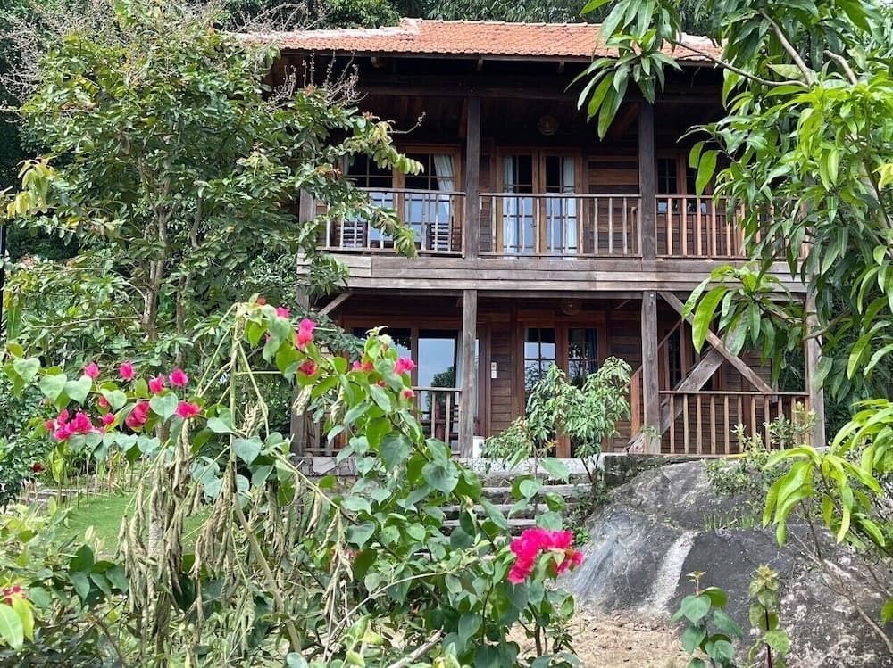 Freedom Jungle Resort