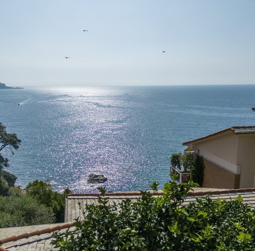 A due passi da Camogli 2