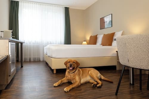 homie hotel fischzucht