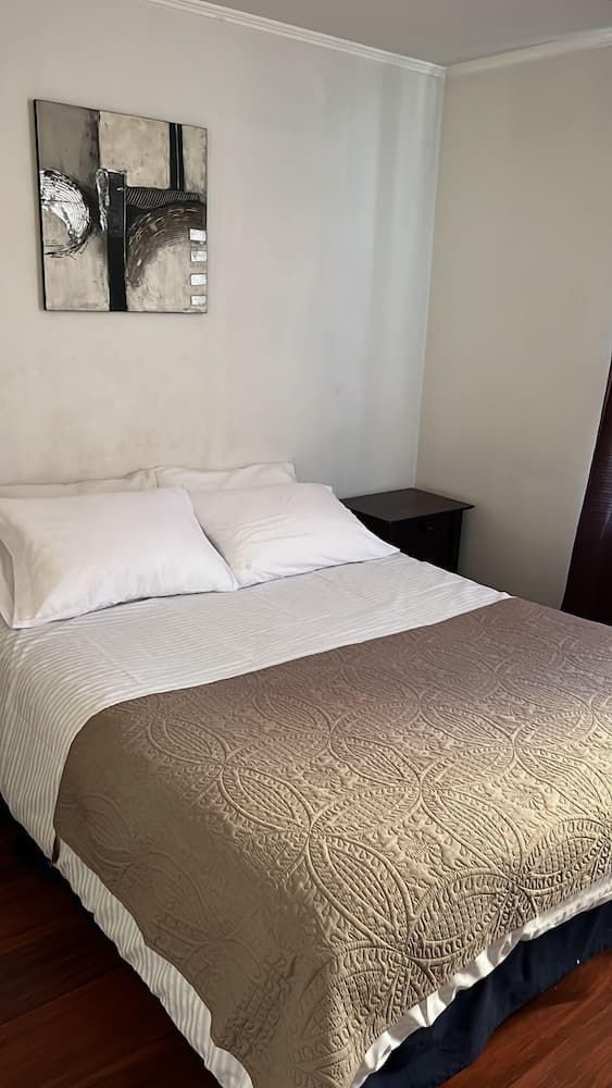 Departamento Zona Central Santiago