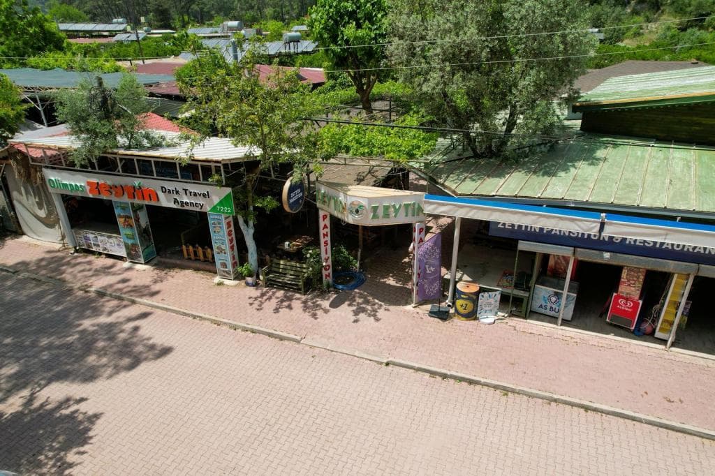 Olympos Zeytin