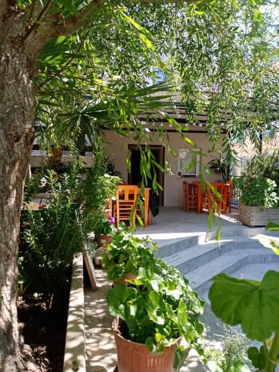 Zeytin Suit Bozcaada