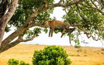 kenya-gezilecek-yerler