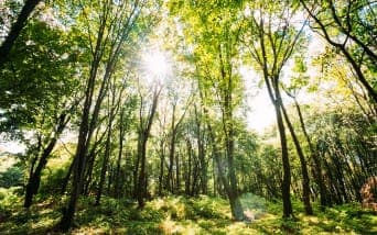 İstanbul’a Yakın Yürüyüş Rotaları