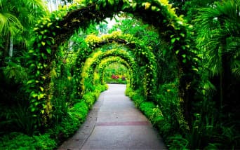 Dünyanın Dört Bir Yanından En Büyüleyici 10 Botanik Bahçesi