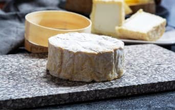 Peynir Tutkunlarına Özel Rotalar: Dünya Peynir Atlası