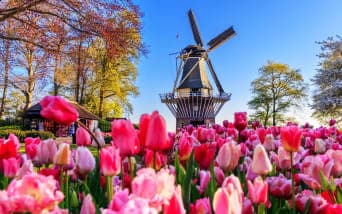 Renklerin Mevsimi: Mutlaka Görmeniz Gereken 10 Çiçek Rotası