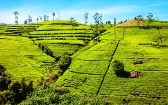 Sri Lanka Gezilecek Yerler: Sri Lanka’da Görülmesi Gereken 13 Yer