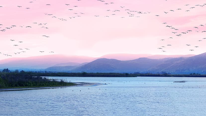 İndirimli Uçak Bileti