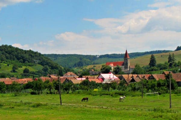 Cluj Napoca